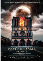 Plakat filmu Notre Dame płonie